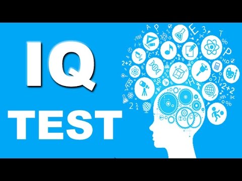 iq test 